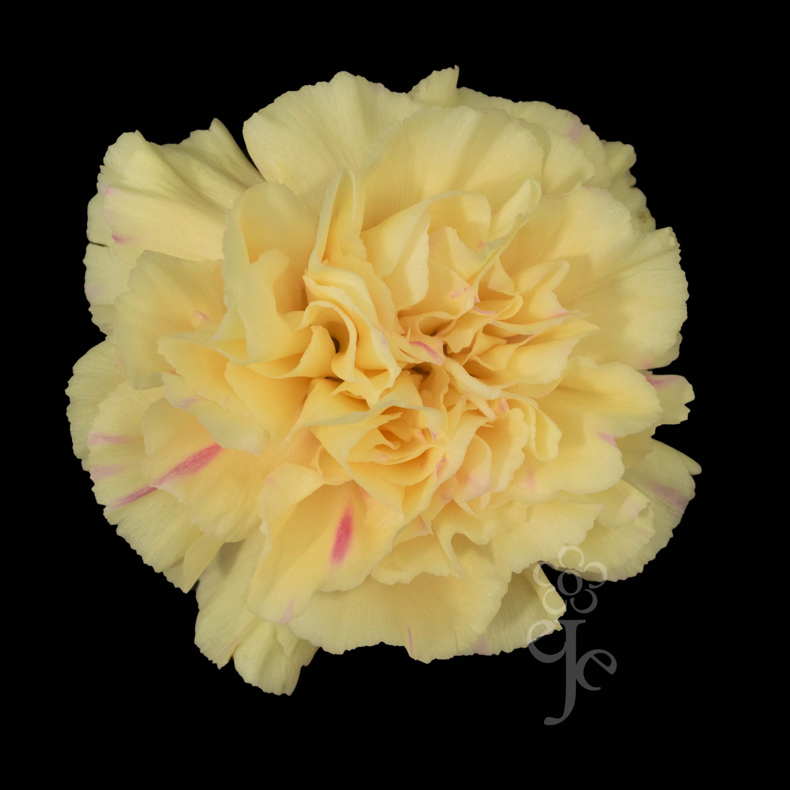 Imagen destacada del producto