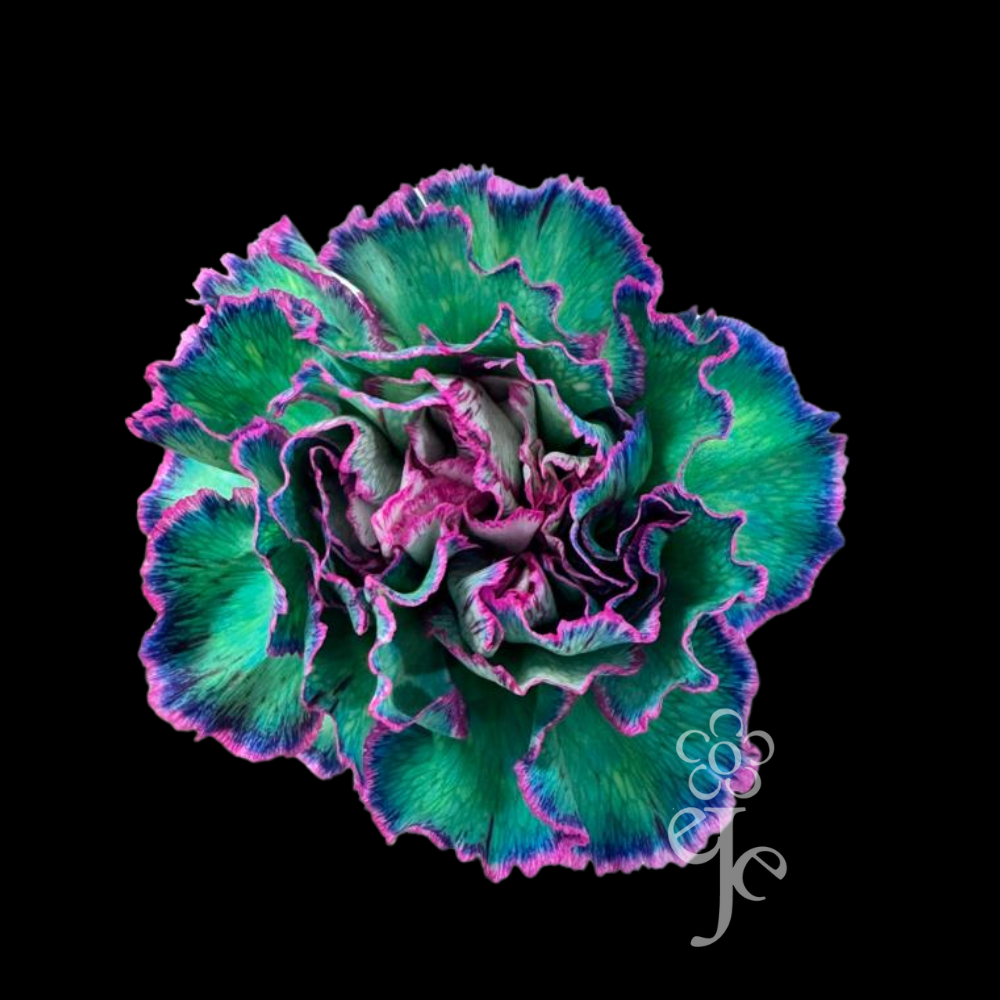 Imagen destacada del producto