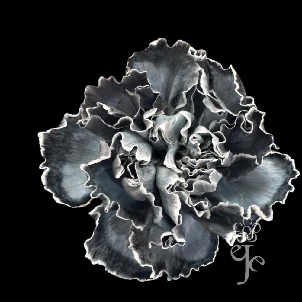 Imagen destacada del producto