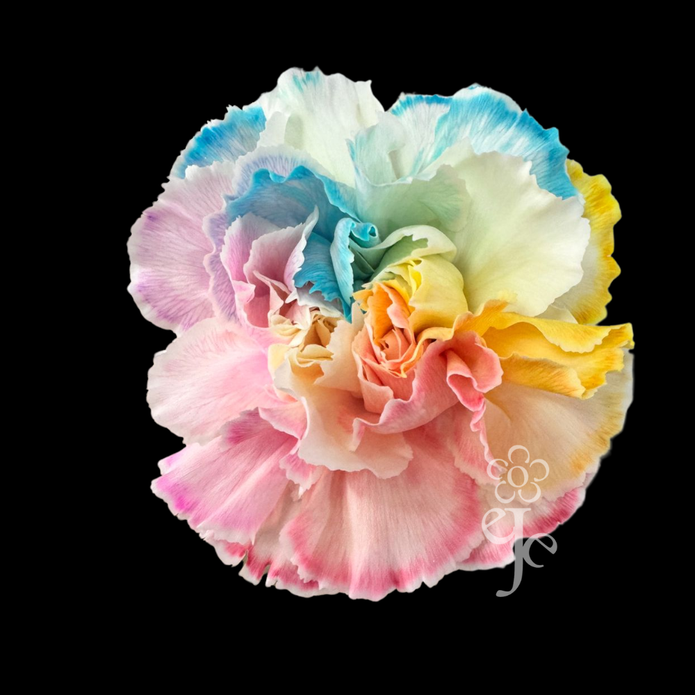 Imagen destacada del producto