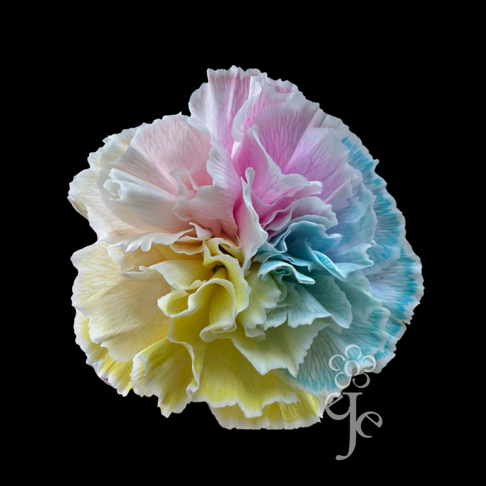 Imagen destacada del producto