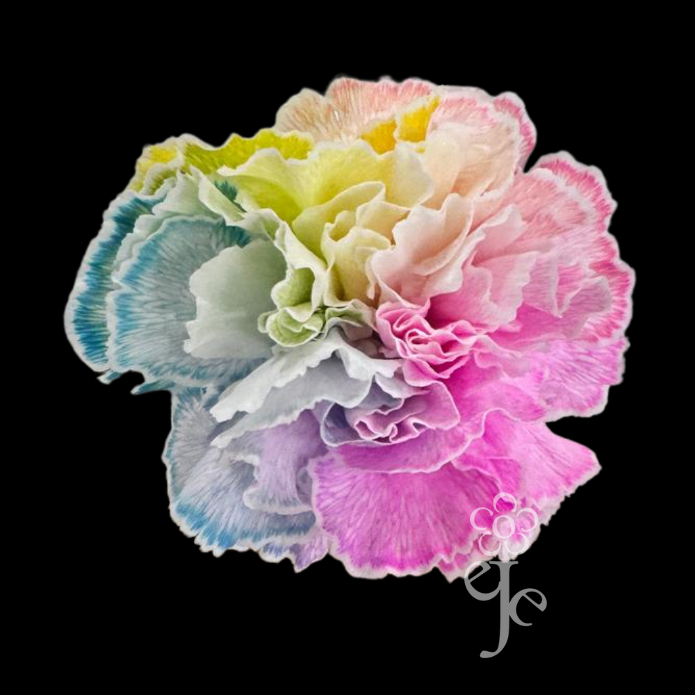 Imagen destacada del producto