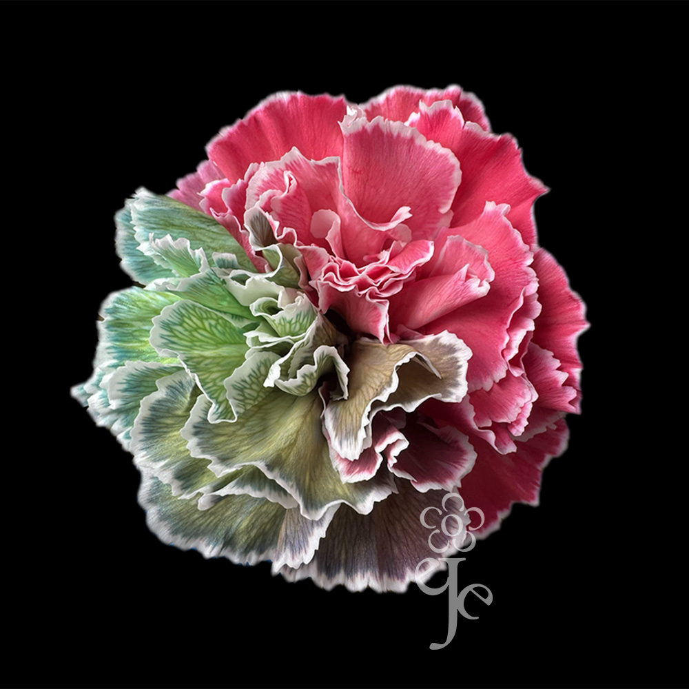 Imagen destacada del producto